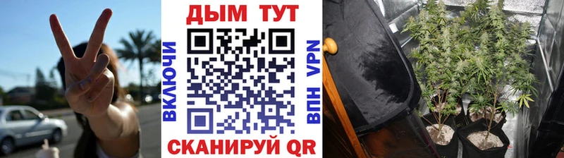 Наркотические вещества Тара MEGA онион  Псилоцибиновые грибы  APVP  Каннабис  ГАШИШ  КОКАИН 