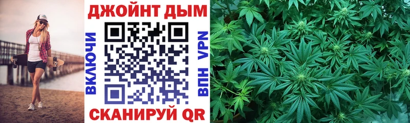 Каннабис сатива продажа наркотиков Тара